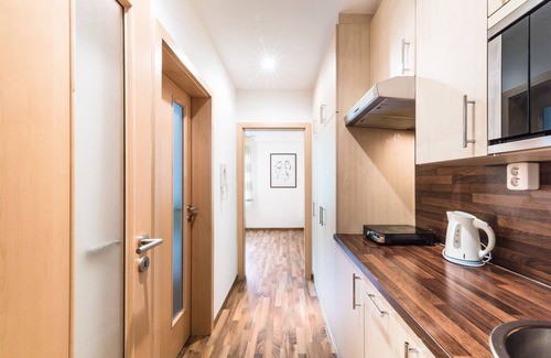 Nusle House | Penzion Paloucek