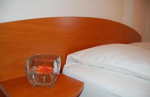 Domzale Bed & Breakfast | Penzion Pri Slovenc