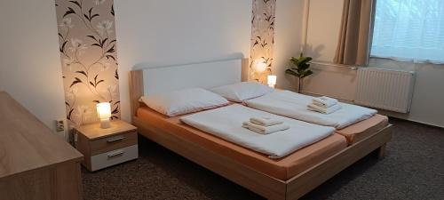 Havlickuv Brod House | Penzion Starr