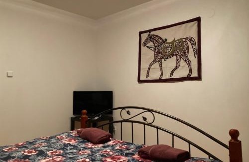 Decin District Apartment | Penzion U bílého jaka