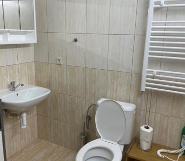 Straz nad Nezarkou House | Penzion u Formana