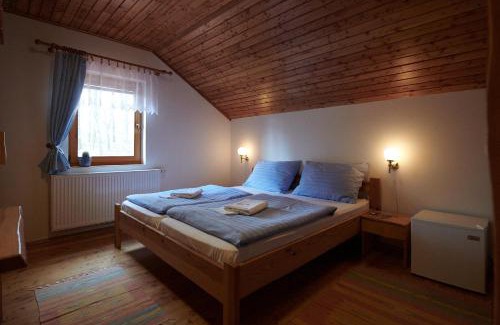 Blansko House | Penzion U Strakatého Koně