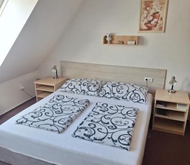 Jablonne nad Orlici House | Penzion U Vorlíčků