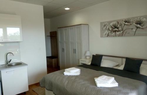 Dolni Tosanovice House | Penzion Wellness Chechluvka