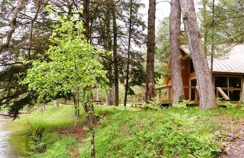 Branch Cabin | Pere Marquette River Fishing Cabin 2
