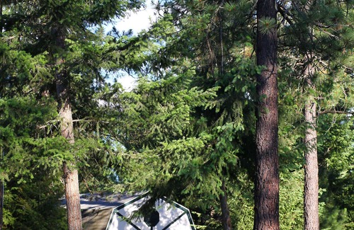 Athol House | Perfect for corporate retreats, family reunions. Near Silverwood. Sleeps 38!
