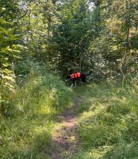 Horten Apartment | Perfect for nature lovers and dog owners