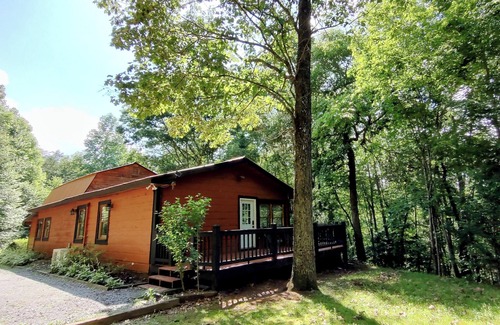 Turtletown Cabin | Perfectly Imperfect Cabin, in forest near Blue Ridge. Relax and enjoy nature.