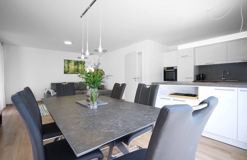 Steinach Apartment | Perfekt für Business!
