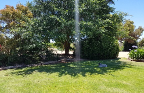 Murtho House | Pet friendly accommodation on the Murray River