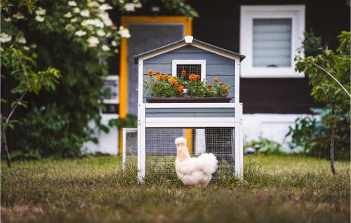 gmina Rzewnie Apartment | Pet Friendly Apartment In Rzewnie