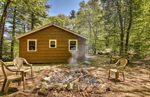 Williamsburg Cabin | Pet-Friendly Cabin w/Fire Pit, BBQ & Great Deck!