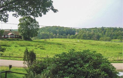 Hoor Municipality House | Pet Friendly Home In Höör With Kitchen