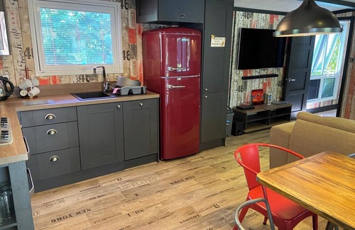 New Forest District Cabin | Pet Friendly Lodge - Sleeps6 - Long Stay Discount