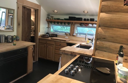 Sun Valley Cabin | Pet Friendly quiet Cabin with privacy and backcountry access.