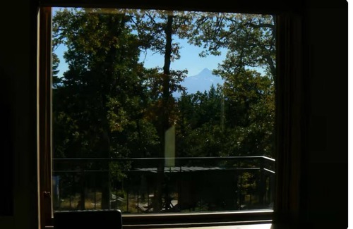 White Salmon Apartment | Pet friendly studio apartment in the woods near charming White Salmon