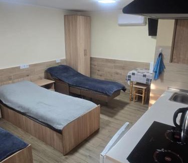Nyzhnje Selyshche Apartment | Petite Chambre