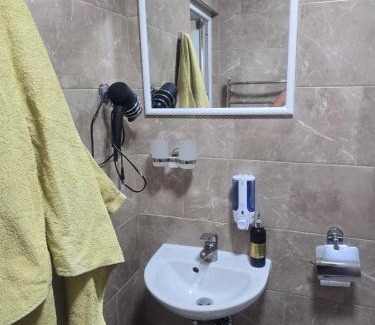 Nyzhnje Selyshche Apartment | Petite Chambre