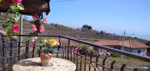 Milo House | Petite Maison dell'Etna