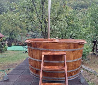 Nehoiu House | Piatra Mare Nehoiu 1