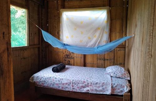 Ecuadorian Amazon Cabin | Pihualli Lodge