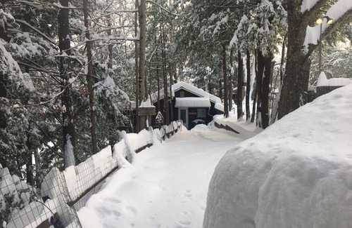 Gaines House | Pine Creek Treehouse