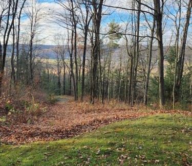 Cohocton House | Pine Hill FLX Retreat