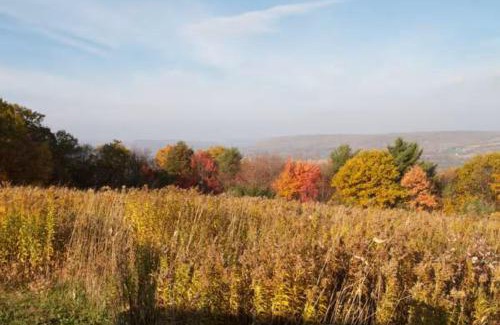 Cohocton House | Pine Hill FLX Retreat