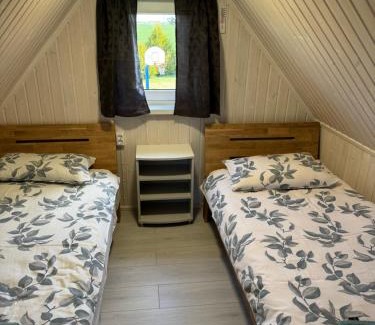 Lithuania House | Pinetree House