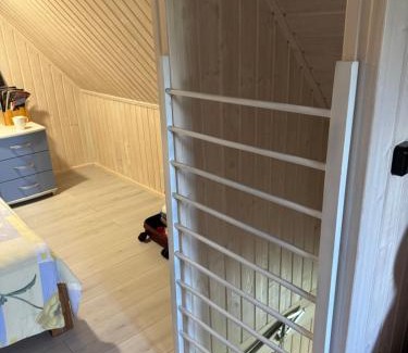 Lithuania House | Pinetree House