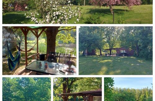 Pedvale House | Pirts,kubls,Saknēs,