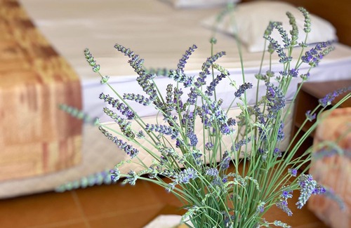 Primorsko Hotel | Plamena Palace