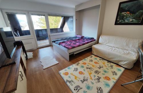 Kranjska Gora Apartment | Planica Studio in Kranjska Gora