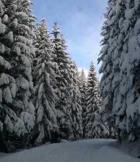 Kasidoli Ski Chalet | Planinska kuća MAK