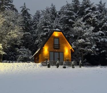 East Sarajevo House | Planinska kuća "Soko' Romanija"