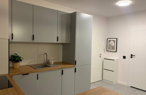 gmina Czarnozyły Apartment | PLATON RESIDENCE APARTMENTS
