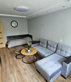 Siauliai Apartment | Pleasant stay 1-bedroom apartment