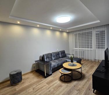 Siauliai Apartment | Pleasant stay 1-bedroom apartment