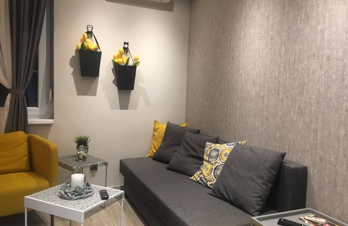 Vracar Apartment | Pleasure Apartment Belgrade