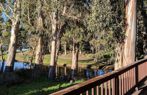 Opal Cliffs House | Pleasure Point Paradise! Beach and Lagoon Views!