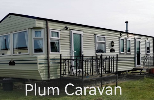 Ingoldmells Ski Chalet | Plum 1 Coral Beach Ingoldmells 3 bed 8 Berth