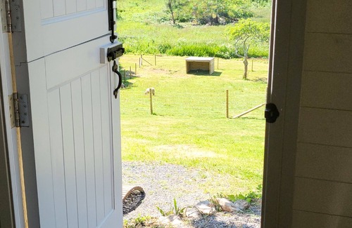 Paignton Cabin | Plum Hut, romantic shepherd hut retreat with log burner, hot tub, pet friendly!