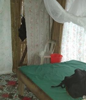 Tol House | PNG Family Empowerment