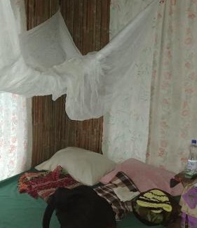 Tol House | PNG Family Empowerment