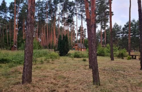 gmina Miedzno House | Pod Czarnym Dzięciołem - dom z widokiem i prywatną balią