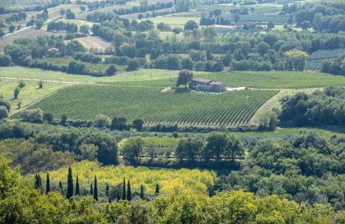 Civitella in Val di Chiana House | Podere La Doccia