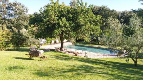 Sassetta Apartment | Podere Stollo