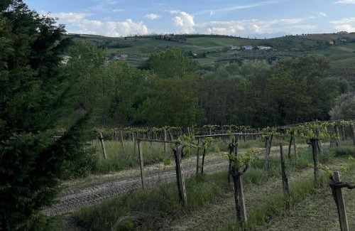 Loreto Aprutino Bed & Breakfast | Podere VignaLago
