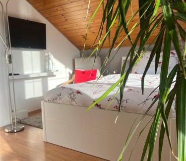 Ostrava House | Podkrovní apartmán s balkónem