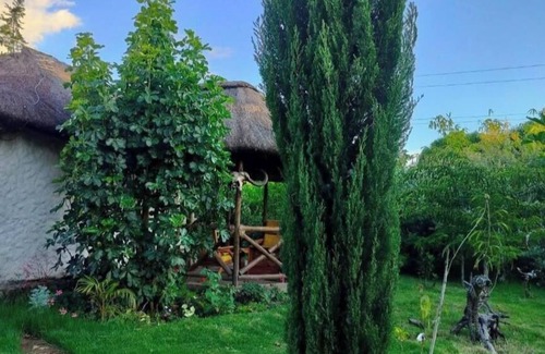 Naro Moru Cottage | Podocarpus cottages